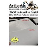 Artlantis Amerikan Bristol Karton 35x50 Cm 25 Adet 220 Gr Bir Tarafı Parlak Bir Tarafı Mat Kağıt Biristol Karton