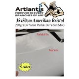 Artlantis Amerikan Bristol Karton 35x50 cm 5 Adet 220 gr Bir Tarafı Parlak Bir Tarafı Mat Kağıt Biristol Karto