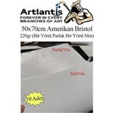 Artlantis Amerikan Bristol Karton 50 x 70 cm 10 Adet 220 gr Bir Tarafı Parlak Bir Tarafı Mat Kağıt Biristol Karton - Beyaz - Standart - 50x70cm