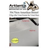 Artlantis Amerikan Bristol Karton 50x70 cm 10 Adet 220 gr Bir Tarafı Parlak Bir Tarafı Mat Kağıt Biristol Kart