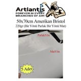 Artlantis Amerikan Bristol Karton 50x70 cm 5 Adet 220 gr Bir Tarafı Parlak Bir Tarafı Mat Kağıt Biristol Karto