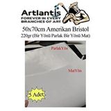 Artlantis Amerikan Bristol Karton 50x70 Cm 5 Adet 220 Gr Bir Tarafı Parlak Bir Tarafı Mat Kağıt Biristol Karton