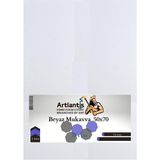 Artlantis Beyaz Renkli Mukavva 50X70 5 Adet Artlantis Renkli Mukavva 5 Adet - standart