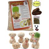 Artlantis Çim Adam Yapım Seti 10 Paket Okul Eğitici Deney Seti Çim Adam Seti - Naturel - Standart