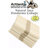 Artlantis Dar Dil Çubuğu 250 Adet Ahşap Dondurma Çubuğu Naturel Maket Hobi Okul Proje Tasarım - Standart