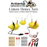 Artlantis Elektrik Limon Deney Seti 1 Paket Limondan Elektrik Üretme Seti Limon Pili Fen Bilgisi Dersi Kimyasal Enerji - Renkli - Standart