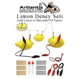 Artlantis Elektrik Limon Deney Seti 3 Paket Limondan Elektrik Üretme Seti Limon Pili Fen Bilgisi Dersi Kimyasa