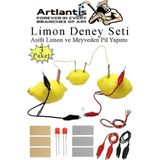 Artlantis Elektrik Limon Deney Seti 3 Paket Limondan Elektrik Üretme Seti Limon Pili Fen Bilgisi Dersi Kimyasal Enerji - Renkli - Standart