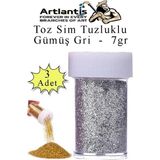 Artlantis Gümüş Gri Toz Sim Tuzluklu 7 gr 3 Adet Renkli Toz Sim Epoksi Reçine Okul Etkinlik Dekarasyon Slime - Standart