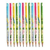 Artlantis Kaktüs Yuvarlak Kurşun Kalem 12 Adet 1 Paket Faber Kurşun Kalem 2b Siyah Kurşun Kalem Kaktüs Desenli 2b Kalem - Çok Renkli - Standart