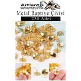 Artlantis Metal Raptiye Çivisi 250 Adet 1 Paket Perçinli Altın Sarı Raptiye Nikel Kaplamalı Ev Okul Büro Yuvarlak Raptiye - Altın Sarısı - Standart