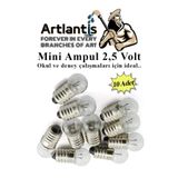 Artlantis Mini Ampul 2,5 Volt 10 Adet 1 Paket Küçük Elektrik Deney Ampulü 2.5 v Okul Sınıf Elektrik Devre Dene