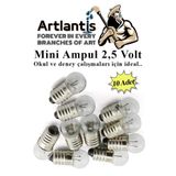 Artlantis Mini Ampul 2,5 Volt 10 Adet 1 Paket Küçük Elektrik Deney Ampulü 2.5 v Okul Sınıf Elektrik Devre Deney Ampulü
