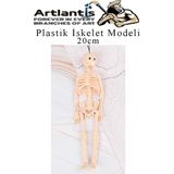 Artlantis Plastik Iskelet Modeli 20 cm 1 Adet Plastik Insan Isket Modeli Silikon Iskelet Deneyi Araba Süsü - Krem - Standart - 20cm