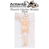 Artlantis Plastik İskelet Modeli 20 cm 1 Adet Plastik İnsan İsket Modeli Silikon İskelet Deneyi Araba Süsü