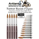 Artlantis Resim Fırçası 10 Numara 5 Li 1 Paket Samur Yuvarlak Uçlu Fırça Seti Guaj Sulu Akrilik Yağlı Boya Fırçaları - Standart - Natural