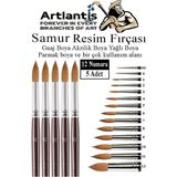 Artlantis Resim Fırçası 12 Numara 5 Li 1 Paket Samur Yuvarlak Uçlu Fırça Seti Guaj Sulu Akrilik Yağlı Boya Fırçaları - Standart - Naturel