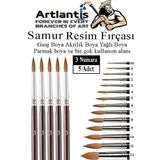 Artlantis Resim Fırçası 3 Numara 5 li 1 Paket Samur Yuvarlak Uçlu Fırça Seti Guaj Sulu Akrilik Yağlı Boya Fırçaları