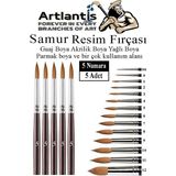 Artlantis Resim Fırçası 5 Numara 5 Li 1 Paket Samur Yuvarlak Uçlu Fırça Seti Guaj Sulu Akrilik Yağlı Boya Fırçaları - Standart - Naturel