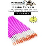 Artlantis Resim Fırçası 6 Numara 5 Adet Yuvarlak Uçlu Sentetik Resim Fırça Ekonomik Suluboya Akrilik Boya Guaj Boya Yağlı Boya - 3.4mm - Renkli