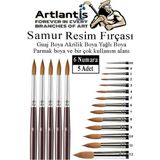 Artlantis Resim Fırçası 6 Numara 5 Li 1 Paket Samur Yuvarlak Uçlu Fırça Seti Guaj Sulu Akrilik Yağlı Boya Fırçaları - Standart - Natural