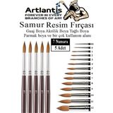 Artlantis Resim Fırçası 7 Numara 5 Li 1 Paket Samur Yuvarlak Uçlu Fırça Seti Guaj Sulu Akrilik Yağlı Boya Fırçaları - Standart - Naturel