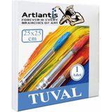 Artlantis Tuval 25X25 cm Astarlı Kare Tuval 1 Adet Resim Küçük Tuvali 25*25 cm Tual Akrilik Boya Yağlı Boya Için Ideal - 25x25cm - Beyaz