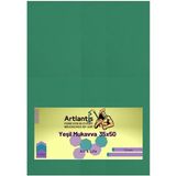 Artlantis Yeşil Renkli Mukavva 35X50 5 Adet Artlantis Renkli Mukavva 5 Adet - standart