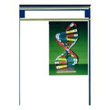Artline Dna Model Yapım Seti - 4 Adet - Deney - Küçük