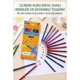 ArtMaster 12 Li Kuru Boya Kalemi Karton Kutu 1 Paket Bic Evolution 12 Renk Kuruboya Tam Boy Canlı Renkli Boya Kalem Okul Öğrenci - Standart