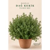 Artuka Botanica Doğal Dağ Kekiği Tohumu (200 ad) | Tıbbi Aromatik Bitki Tohumu