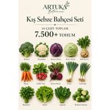 Artuka Botanica Kış Sebze Bahçesi Tohum Seti 14 Çeşit 7.500+ Tohum | Brokoli, Karnabahar, Kırmızı & Beyaz Lahana, Kereviz, Havuç, Fındık Turp, Pancar, Pırasa, Yeşil Soğan, Maydanoz, Marul, Ispanak, Brüksel Lahanası