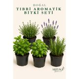 Artuka Botanica Tıbbi Aromatik Bitki Tohumu Seti (350+ ad) | Kekik, Lavanta, Nane, Fesleğen, Biberiye Tohumu