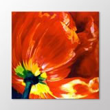 Arty Tablo Gelincik Tablo Amz-Bre001-X 50X50