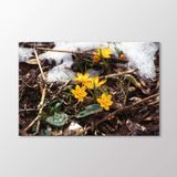 Arty Tablo Kardelen Çiçeği Tablo Amz-Ala170-X 90X60