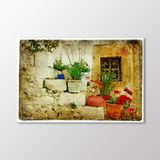Arty Tablo Sokaktaki Saksılar Tablo Amz-Imb107-X 90X60