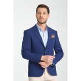 Arunte Erkek Parlement Keten Görünümlü Ince Dört Mevsim Giyilebilir Slim Fit Blazer Ceket Parlament 58