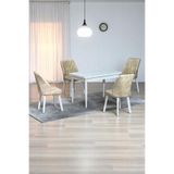 ARVEN Beyaz MDF 70x110 Sabit Mutfak Masası Takımı Beyaz Metal Ayak 4 Krem Sandalye