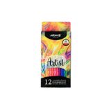Arya Artist Profesyonel Kuru Boya Kalem Seti 12li Fluorescent Neon Renkler