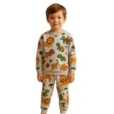 Arya Nisa Kids Erkek Çocuk İki İplik Pamuklu Şardonlu Gri Aslan-Dinozor Desen Uzun Kollu Kışlık Pijama Takımı Gri 7-8 Yaş