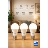 Aryes 12W E27 LED Ampul 4000 Kelvin - Gün Işığı Yüksek Parlaklık