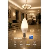 Aryes E14 Mum Ampul 7W 4000K Günışığı 630 Lümen Uzun Ömürlü LED