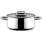 Aryıldız Colombus Metal Kulp Cam Kapak 24 cm Derin Tencere