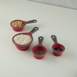 Aryıldız Dailytools 4 Parça Katlanabilir Ölçü Kaşık Seti Renkli Mutfak Gereçleri