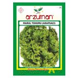 Arzuman 10 gr Arapsaçı Marul Tohumu Kıvırcık