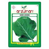 Arzuman 10 gr Sarmalık Laz Kara Lahana Tohumu