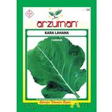 Arzuman 10 gr Sebze Kara Lahana Tohumu