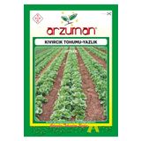 Arzuman 10 gr Yazlık Marul Tohumu
