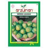 Arzuman 200 Adet Brüksel Lahanası Tohumu