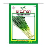 Arzuman 4x10 gr Yeşil Soğan Tohumu